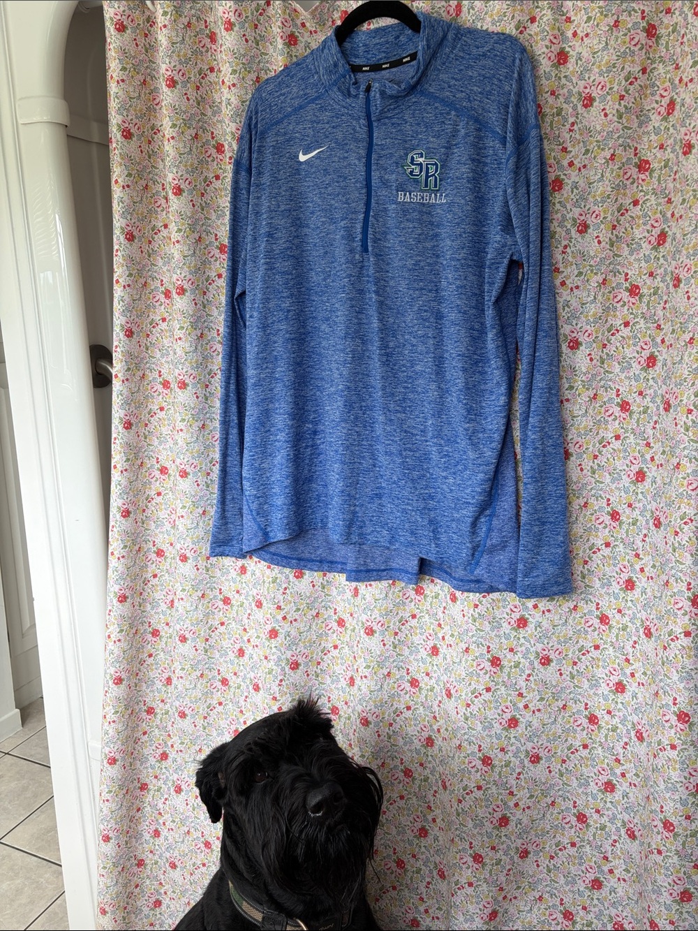 Nike Youth Blue Heather Quarter-Zip Baseball Pullover. DOG NOT FOR SALE 😊